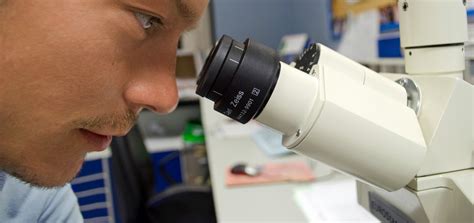 What Does a Histotechnician Do?