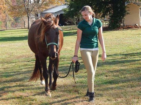 What Does a Horse Trainer Do?