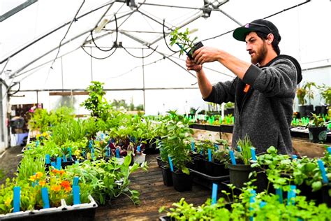 What Does a Horticulturist Do?