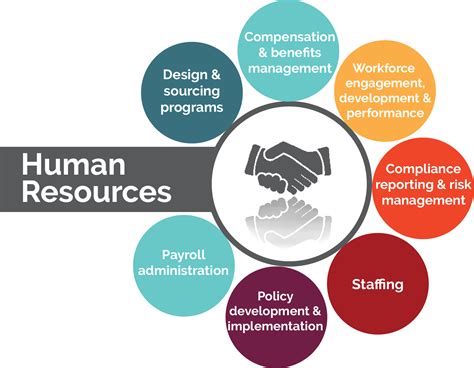 What Does a Human Resources Professional Do?
