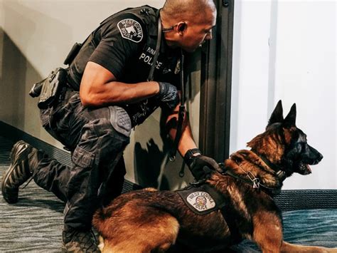 What Does a K9 Police Officer Do?