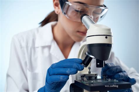 What Does a Laboratory Assistant Do?