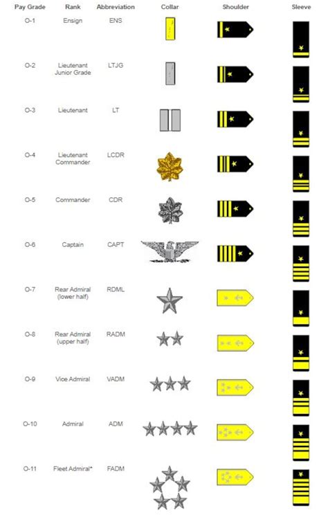 What Does a Lieutenant Commander Do?