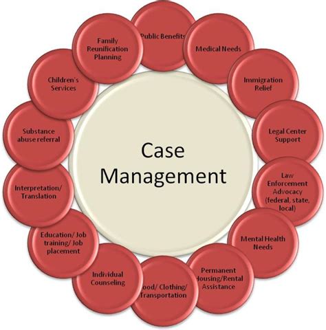 What Does a Manager of Case Management Do?