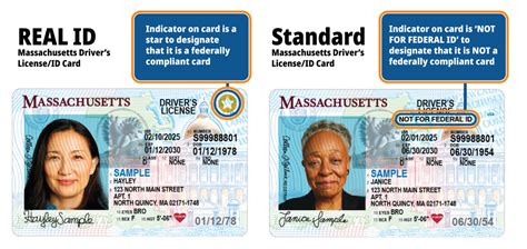 What Does a Massachusetts State Employee Do? The Spectrum of Public Service