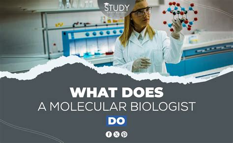 What Does a Molecular Biologist Do?