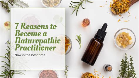 What Does a Naturopathic Practitioner Do?