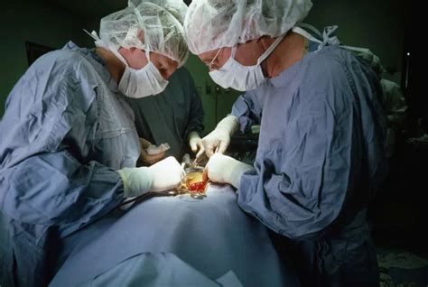 What Does a Neurosurgery PA Do?
