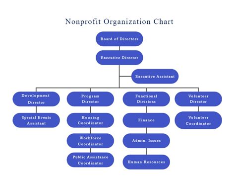 What Does a Non-Profit CEO at this Level Do?