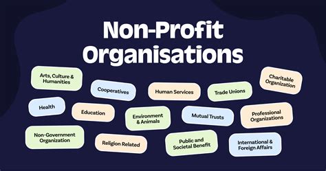 What Does a Non-Profit Media CEO Do?