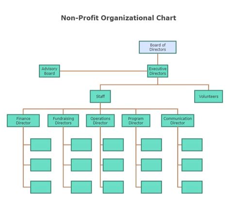 What Does a Nonprofit CEO Do?