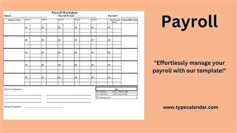 What Does a Payroll Professional Do? The Core of the Role