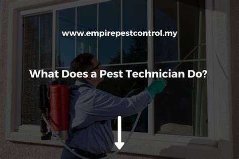 What Does a Pest Control Technician Do?