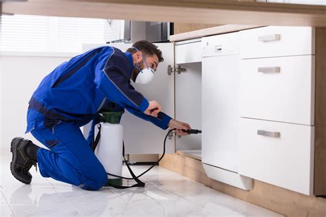 What Does a Pest Control Worker Do?