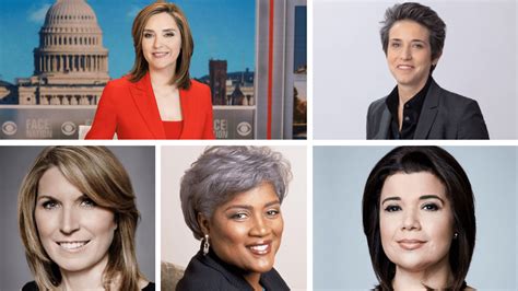 What Does a Political Analyst & TV Host Do?