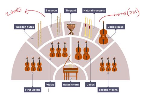What Does a Principal Orchestral Musician Do?