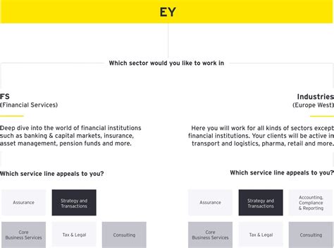 What Does a Professional at a Firm Like EY Do?