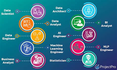 What Does a Professional Role (e.g., Data Analyst) Entail?