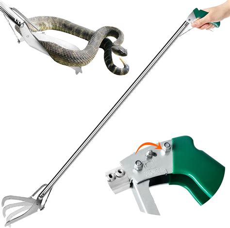 What Does a Professional Snake Handler Actually Do?