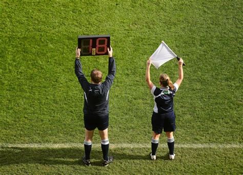 What Does a Professional Sports Official Do?