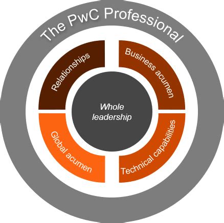 What Does a PwC Professional Do?