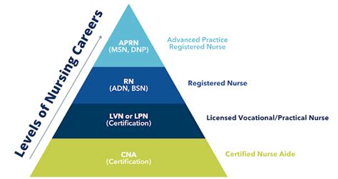 What Does a Registered Nurse (RN) in Texas Do?