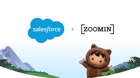 What Does a Salesforce Vice President Do?