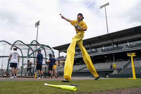What Does a Savannah Bananas Player Do?