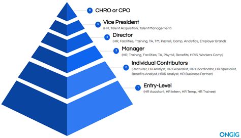 What Does a Senior Director Do?