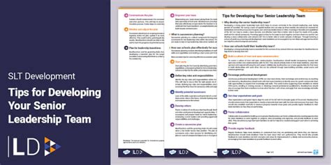 What Does a Senior Public Leader or Government Executive Actually Do?