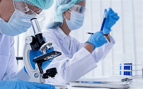 What Does a Senior Scientist Do?