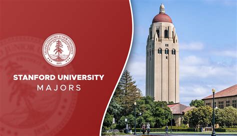 What Does a Stanford Professor Do?