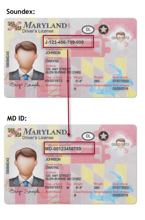 What Does a State of Maryland Employee Do?