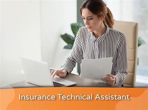 What Does a Technical Assistant Do?