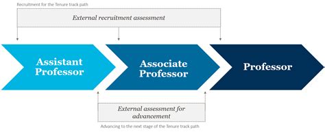 What Does a Tenure-Track Professor Do?