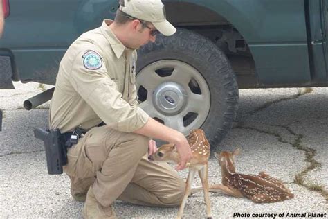 What Does a Texas Game Warden Do?
