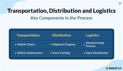 What Does a Transportation, Distribution, and Logistics Professional Do?