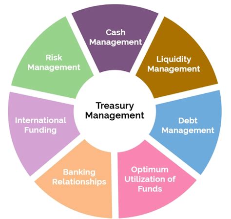 What Does a Treasury Manager Do?