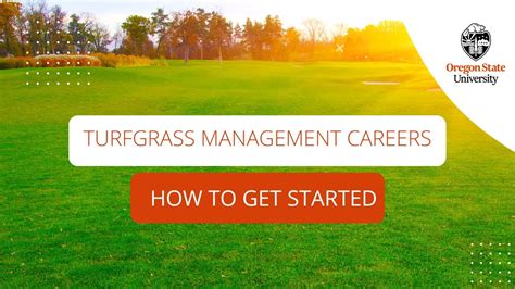 What Does a Turf Manager Do? The Science and Art of Green