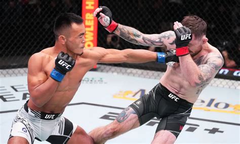 What Does a UFC Fighter Do?