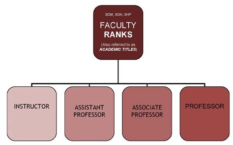 What Does a University Faculty Member Do?
