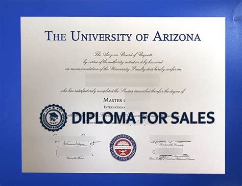 What Does a University of Arizona Degree Prepare You For?