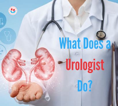 What Does a Urologist Do? A Fusion of Medicine and Surgery
