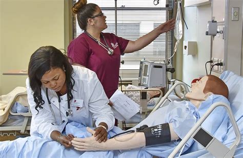 What Does a VA Nurse Do?