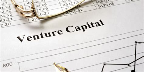 What Does a Venture Capitalist Do?