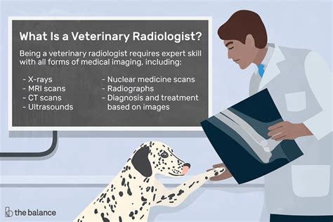 What Does a Vet Radiologist Do?