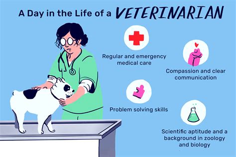 What Does a Veterinarian Do?