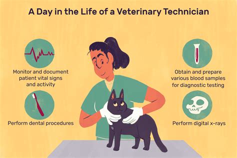 What Does a Veterinary Technician Do?