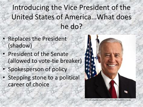 What Does a Vice President Do?
