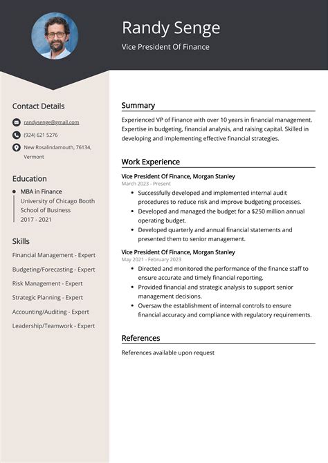 What Does a Vice President of Finance Do?